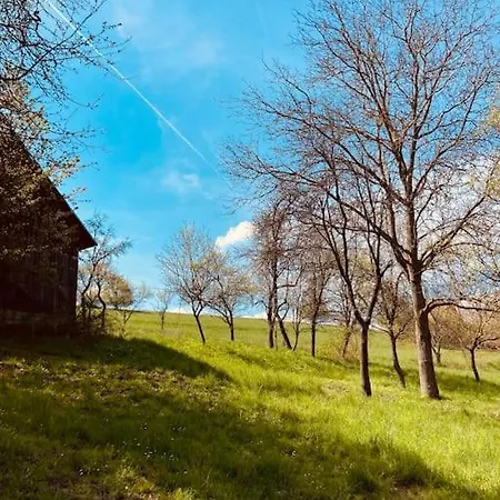 Tradicna Kopaniciarska Chalupa Kosariska Exterior photo