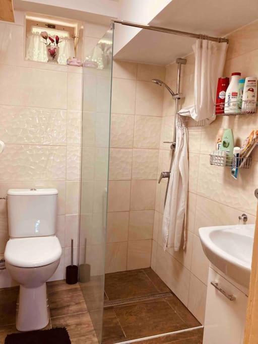 Holiday home Tradicna Kopaniciarska Kosariska