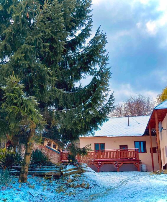 Tradicna Kopaniciarska Holiday home *